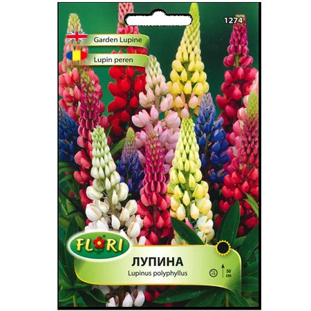 Lupin - C. 2L / (Lupinus polyphyllus)